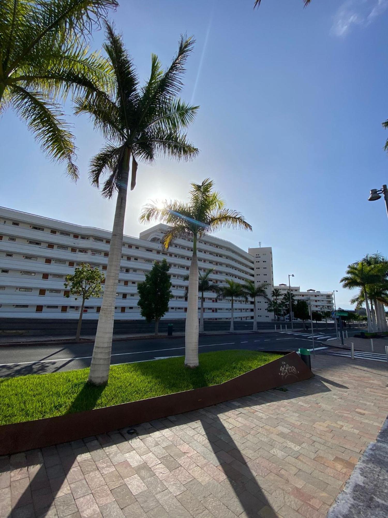 Nice Apartment In Las Americas/Costa Adeje 1 Playa de las Americas  Exterior foto